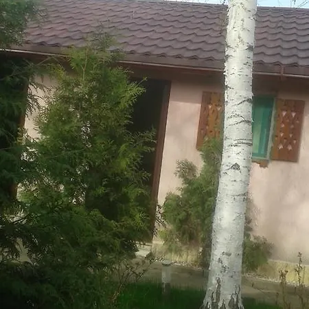 Vakantiepark Paradisul Soferilor Onesti