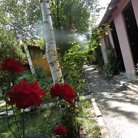 Vakantiepark Paradisul Soferilor Onesti