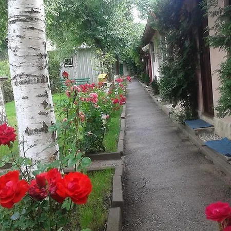 Paradisul Soferilor Vakantiepark